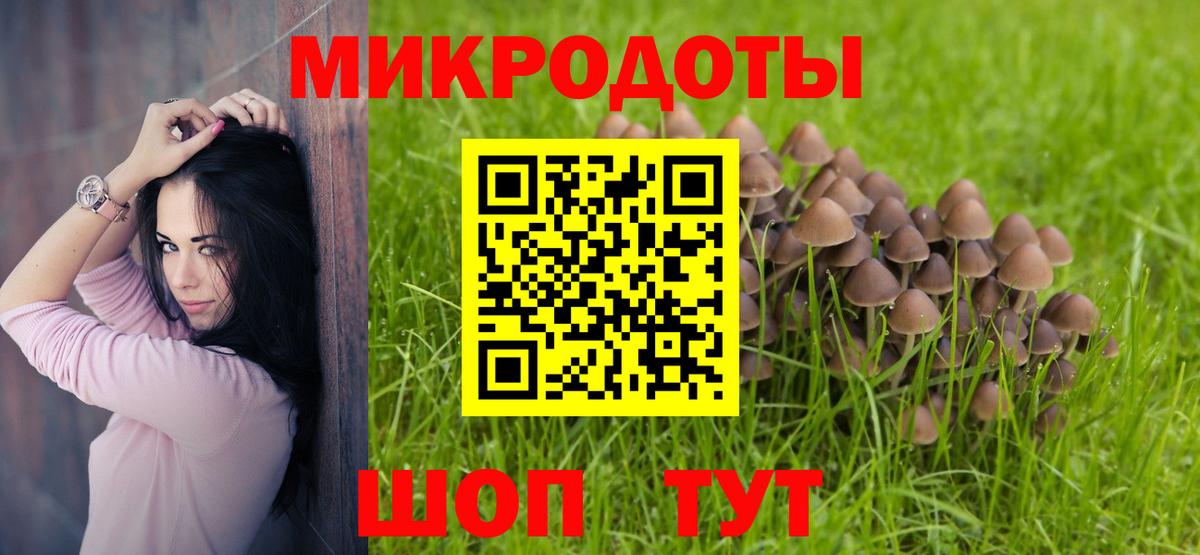 Зеленодольск  Псилоцибиновые грибы прущие грибы  Вход с VPN 